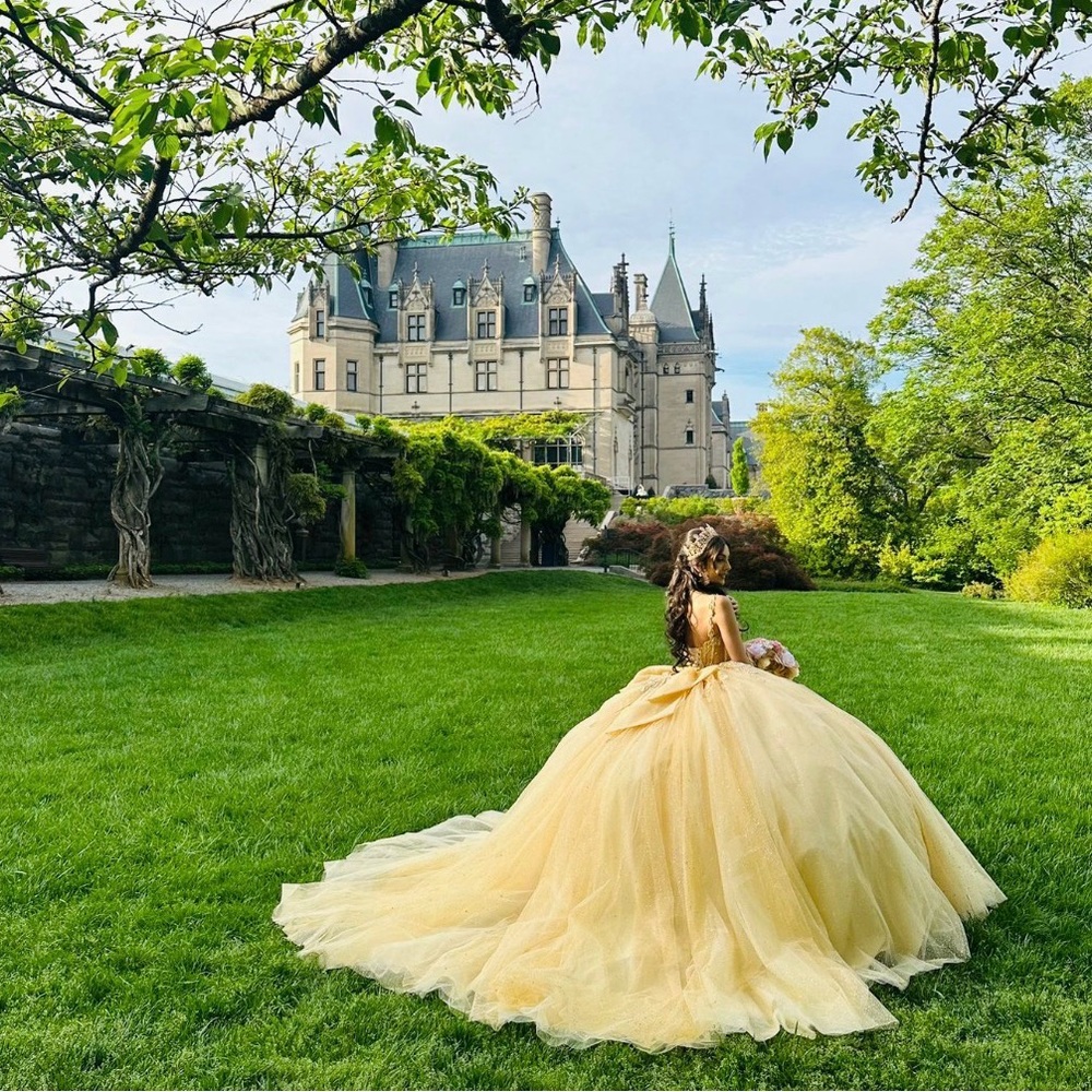 Elegant Yellow Ball Gown